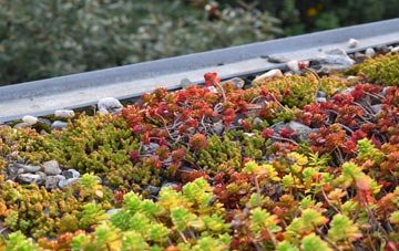 the cost of Old Struan green roof installation