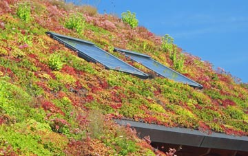 Old Struan living roof systems