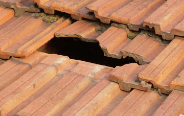 roof repair Old Struan, Perth And Kinross